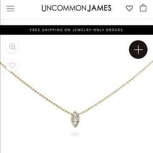 Uncommon James Just a Touch necklace !!